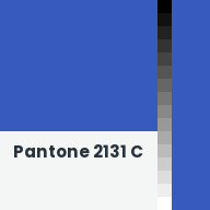 Color chip: Pantone 2131 C