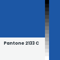 Color chip: Pantone 2133 C
