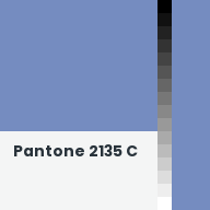 Color chip: Pantone 2135 C