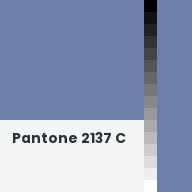 Color chip: Pantone 2137 C