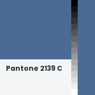 Color chip: Pantone 2139 C