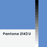 Color chip: Pantone 2143 U
