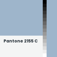 Color chip: Pantone 2155 C