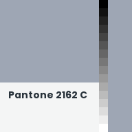 Color chip: Pantone 2162 C