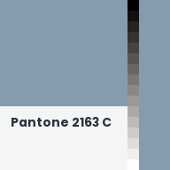 Color chip: Pantone 2163 C