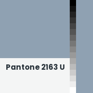 Color chip: Pantone 2163 U