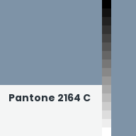Color chip: Pantone 2164 C