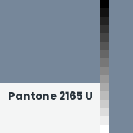 Color chip: Pantone 2165 U