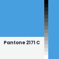 Color chip: Pantone 2171 C