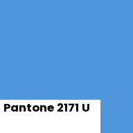 Color chip: Pantone 2171 U