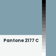 Color chip: Pantone 2177 C