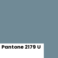 Color chip: Pantone 2179 U
