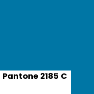 Color chip: Pantone 2185 C