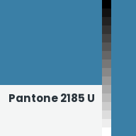 Color chip: Pantone 2185 U