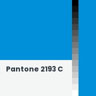 Color chip: Pantone 2193 C