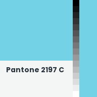 Color chip: Pantone 2197 C