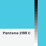 Color chip: Pantone 2198 C