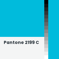 Color chip: Pantone 2199 C