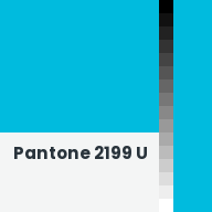 Color chip: Pantone 2199 U