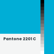 Color chip: Pantone 2201 C