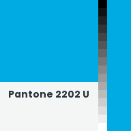 Color chip: Pantone 2202 U