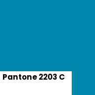 Color chip: Pantone 2203 C