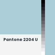 Color chip: Pantone 2204 U
