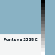 Color chip: Pantone 2205 C