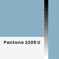 Color chip: Pantone 2205 U