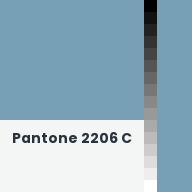 Color chip: Pantone 2206 C