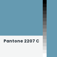 Color chip: Pantone 2207 C