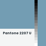 Color chip: Pantone 2207 U