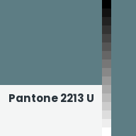 Color chip: Pantone 2213 U