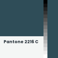 Color chip: Pantone 2216 C