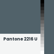 Color chip: Pantone 2216 U
