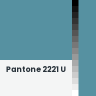 Color chip: Pantone 2221 U