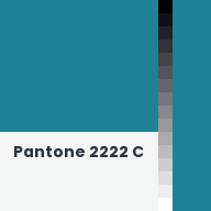 Color chip: Pantone 2222 C