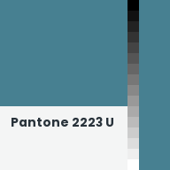 Color chip: Pantone 2223 U