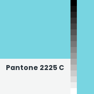 Color chip: Pantone 2225 C