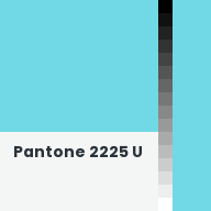 Color chip: Pantone 2225 U