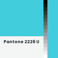 Color chip: Pantone 2226 U