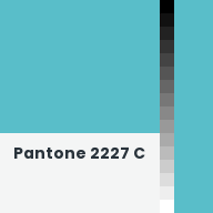 Color chip: Pantone 2227 C