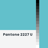 Color chip: Pantone 2227 U