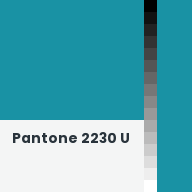 Color chip: Pantone 2230 U