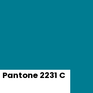 Color chip: Pantone 2231 C
