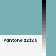 Color chip: Pantone 2232 U