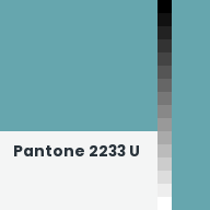 Color chip: Pantone 2233 U