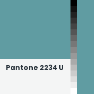 Color chip: Pantone 2234 U