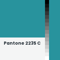 Color chip: Pantone 2235 C