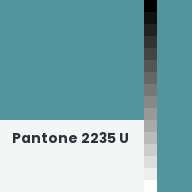 Color chip: Pantone 2235 U
